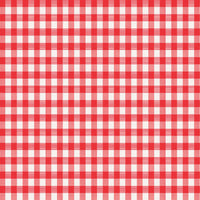 Magic Cover Red/White Checkered Vinyl Disposable Tablecloth 54 in. L X 54 in. W