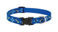 Lupine Pet Original Designs Multicolor Dapper Dog Nylon Dog Adjustable Collar