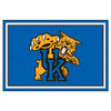 University of Kentucky Wildcats 5ft. x 8 ft. Plush Area Rug