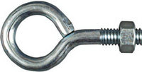 National Hardware 5/16 in. X 2-1/2 in. L Zinc-Plated Steel Eyebolt Nut Included