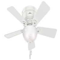 Hunter Haskell 42 in. White LED Indoor Ceiling Fan