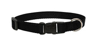 Lupine Pet Basic Solids Black Black Nylon Dog Adjustable Collar