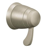 Brushed nickel volume control