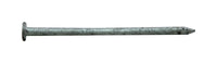 Pro-Fit 3-1/4 in. Common Hot-Dipped Galvanized Steel Nail Flat Head 5 lb