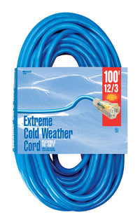 Woods Indoor or Outdoor 100 ft. L Blue Extension Cord 12/3