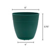 Bloem Dayton 5.75 in. H X 6 in. D Plastic Transitional Planter Turtle Green