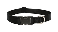 Lupine Pet Basic Solids Black Black Nylon Dog Adjustable Collar