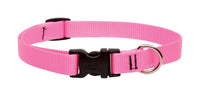 Lupine Pet Basic Solids Pink Pink Nylon Dog Adjustable Collar