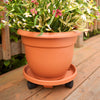 Bloem Terracotta Clay Resin Bell Ariana Planter 10 Dia. in. with Drainage Holes