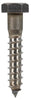 Hillman 3/8 in. X 2 in. L Hex Stainless Steel Lag Screw 25 pk