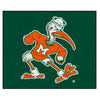 University of Miami Sebastian the Ibis Rug - 5ft. x 6ft.