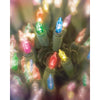 Celebrations Mini Incandescent Light Set Multicolored 62 ft. 300 lights Green