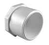 Charlotte Pipe Schedule 40 1/2 in. Spigot x 1/2 in. Dia. Slip PVC Plug (Pack of 50)