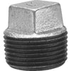 Anvil 3/8 in. Malleable Iron Square Head Plug