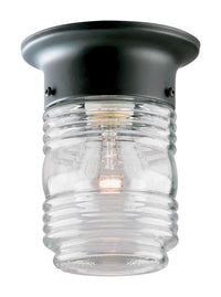 Westinghouse Matte Clear Porch Light