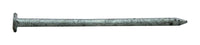 Pro-Fit 8D 2-1/2 in. Common Hot-Dipped Galvanized Steel Nail Flat Head 1 lb