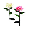 Luminous Garden Multicolored Nylon 24 in.   H Floral Solar Garden Stake (Pack of 12)