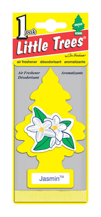 Little Trees Car Air Freshener 1 pk (Pack of 24)