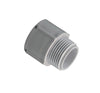 Cantex 1/2 in. D PVC Male Adapter For PVC