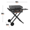 Blackstone 2401 2 Burner Liquid Propane Outdoor Griddle Black