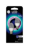 GE C7 E12 (Pack of 6)