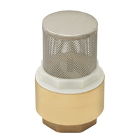 BK Products ProLine 2 in. D Brass Spring Loaded Valve