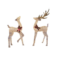 Celebrations LED Warm White Buck/Doe 6 ft. Yard Decor