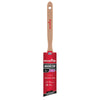 Wooster Silver Tip 1-1/2 in. Soft Semi-Oval Angle Paint Brush