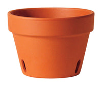 Deroma 3.8 in. H x 5.1 in. Dia. Clay Orchid Planter Terracotta (Pack of 24)