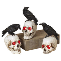 Gerson 8 in. Prelit Skull with Crow Halloween Decor (Pack of 12)