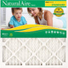 Standard Pleated Air Filter, 90 Days, 21x21x1-In. (Pack of 12)