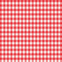 Magic Cover Red/White Checkered Vinyl Disposable Tablecloth 52 in. L X 52 in. W