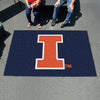 University of Illinois Rug - 5ft. x 8ft.