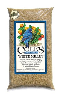 Cole's Assorted Species White Millet Wild Bird Food 20 lb