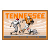 University of Tennessee Ticket Stub Rug - 19in. X 30in.