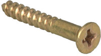 Hillman No. 10 X 2 in. L Phillips Wood Screws 100 pk