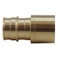 Apollo PEX-A 3/4 in. Expansion PEX in to T X 3/4 in. D Female Sweat  Brass Adapter (Pack of 25)