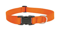 Lupine Pet Basic Solids Blaze Orange Blaze Orange Nylon Dog Adjustable Collar