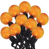 Celebrations Orange 25 ct LED String Lights