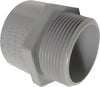 Carlon 3/4 in. D PVC Male Adapter For PVC 1 pk