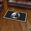 University of North Carolina - Pembroke 3ft. x 5ft. Plush Area Rug