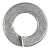 Hillman 1/4 in. D Hot-Dipped Galvanized Steel Split Lock Washer 100 pk