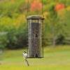 Perky Pet 114 Squirrel Stumper Bird Feeder