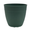 Bloem Dayton 5.75 in. H X 6 in. D Plastic Transitional Planter Turtle Green