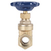 Homewerks 2 in. FIP Brass Gate Valve (Pack of 2)