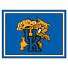 University of Kentucky Wildcats 8ft. x 10 ft. Plush Area Rug