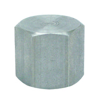 Anvil 1/4 in. FPT Malleable Iron Cap