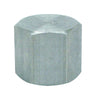 Anvil 1/4 in. FPT Malleable Iron Cap