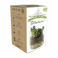 Syndicate Home & Garden Clear Glass Terrarium