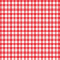 Magic Cover Red/White Checkered Vinyl Disposable Tablecloth 54 in. L X 54 in. W